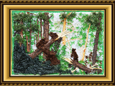 «УТРО В СОСНОВОМ ЛЕСУ» автор: Роман Белый, г. Краснодар, пос. Знаменский