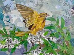 "ОВСЯНКА", Поникарчук Екатерина