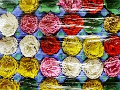 «Хризантемы»
автор: Жоржикашвили Вероника, 8 лет, ученица МБОУ гимназия № 72, г. Краснодар