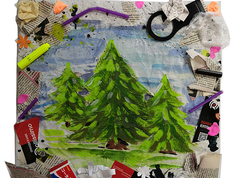 "БЕРЕГИ ЛЕС", Анастасия Кутищева