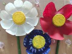 "АСТРЫ", Близнякова Анастасия