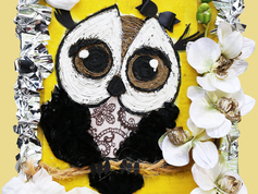 «СОВУШКА» авторы: Юлия Павловна и Анастасия Павловна Белые