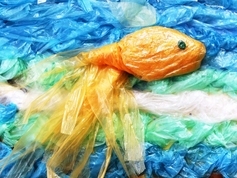 «МЕЧТА О ЗОЛОТОЙ РЫБКЕ»
автор: Назаренков Александр, 11 лет, ученик МБОУ гимназия № 33, г. Краснодар